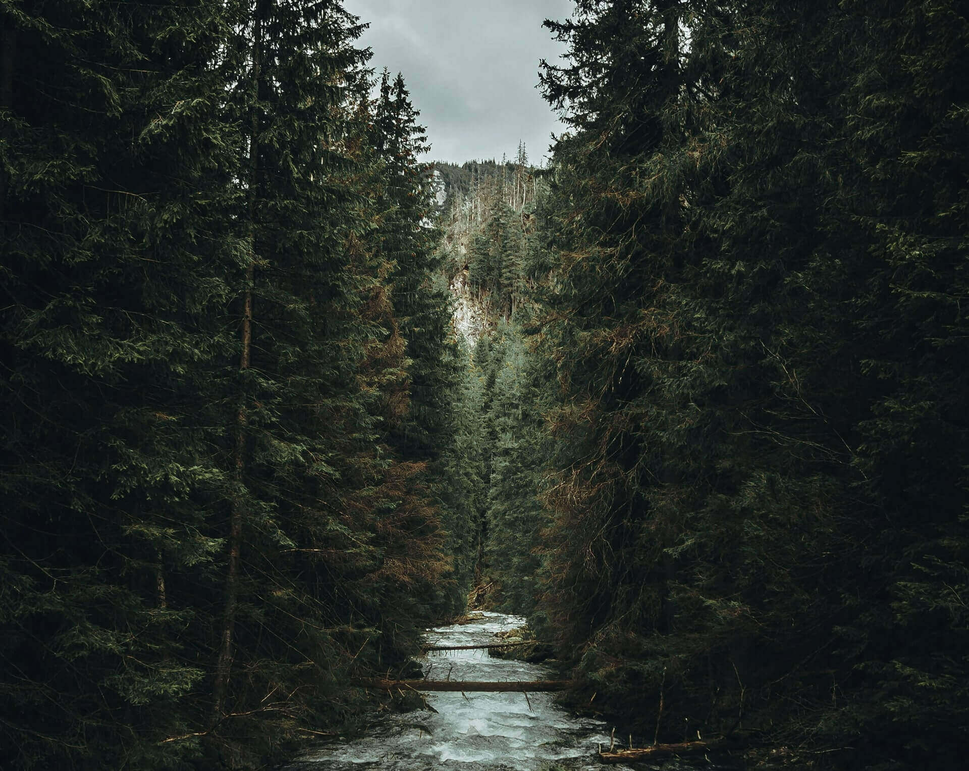 Radiant Reach footer background